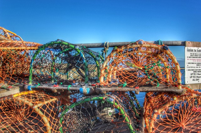 20140109_114929000_iOS